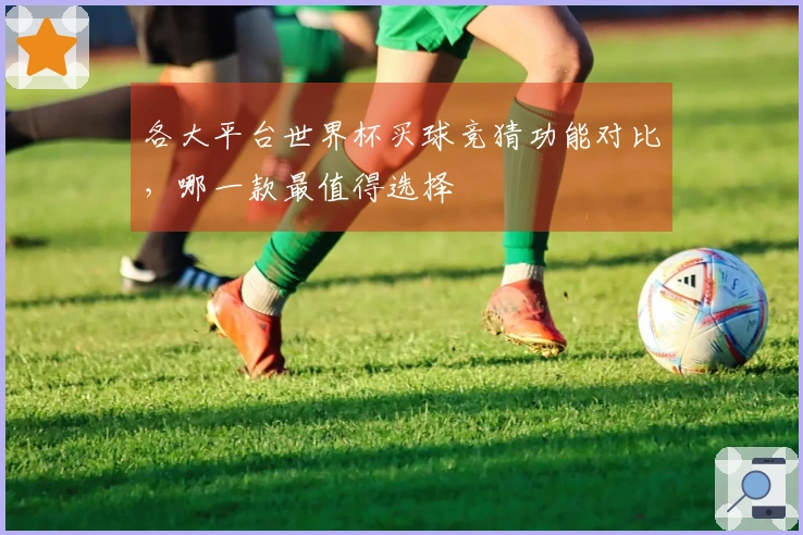 各大平台世界杯买球竞猜功能对比，哪一款最值得选择