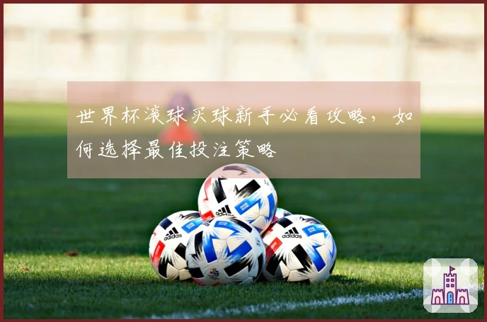 世界杯滚球买球新手必看攻略，如何选择最佳投注策略