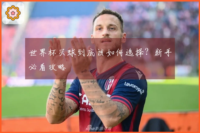 世界杯买球到底该如何选择？新手必看攻略