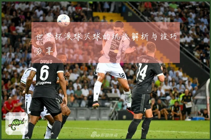 世界杯滚球买球的玩法解析与技巧分享