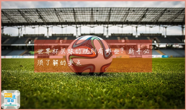 世界杯买球的规则有哪些？新手必须了解的要点