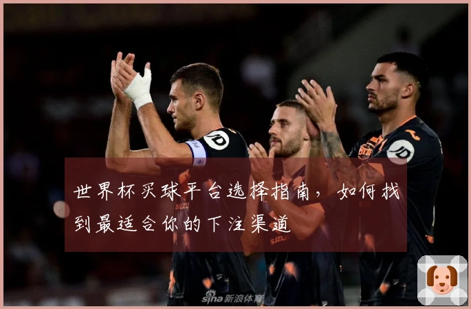 世界杯买球平台选择指南，如何找到最适合你的下注渠道