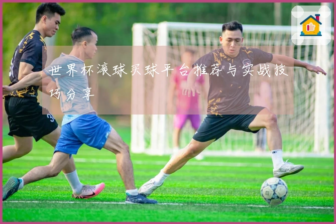 世界杯滚球买球平台推荐与实战技巧分享