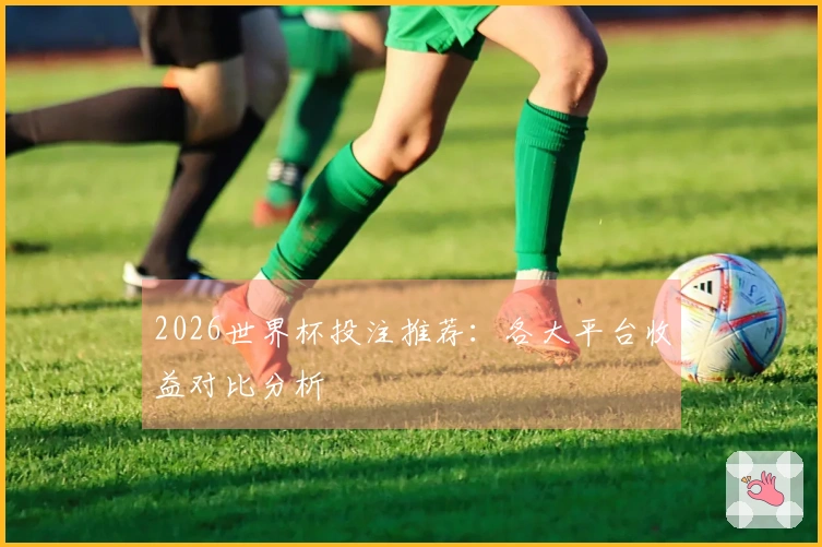 2026世界杯投注推荐：各大平台收益对比分析